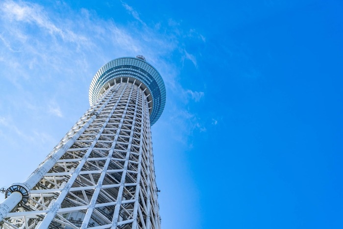 スカイツリーの画像