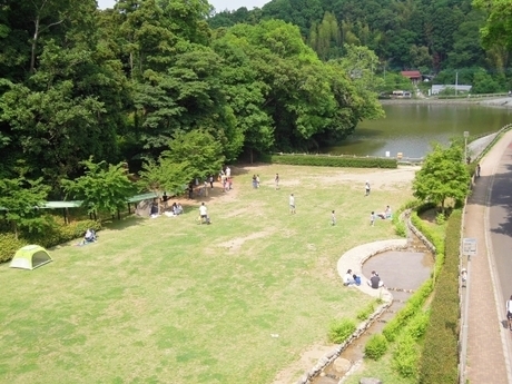 左に林、右に道路が走る大きな池のある公園で遊ぶ数人