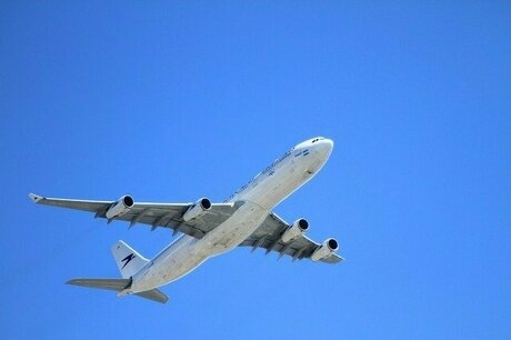 見上げた青空に飛んでる飛行機