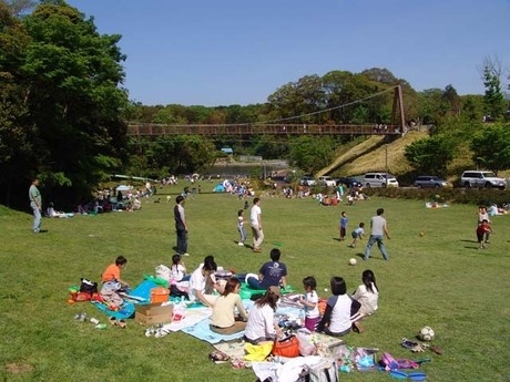 芝生広場でくつろぐ人たちやボールで遊ぶ人たち
