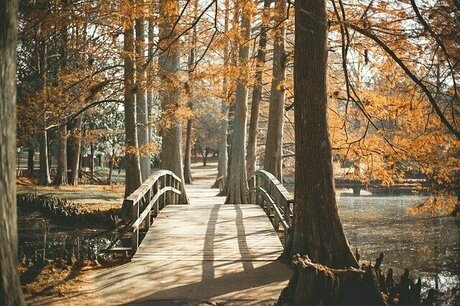 紅葉の公園にかかる小さな橋
