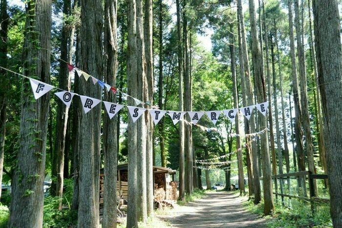 林の中のキャンプ場