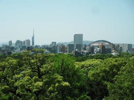 福岡タワー 福岡ドーム
