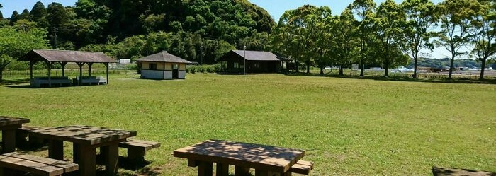 芝のキャンプ場