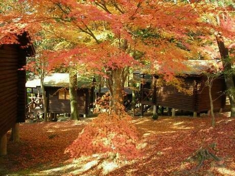 一本松公園(昭和の森)