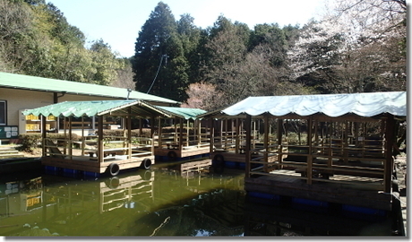 池の上に設置された屋根付きのウッドデッキ
