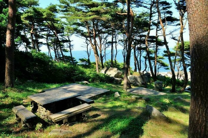 北侍浜野営場