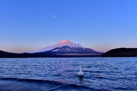 山中湖