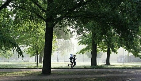 公園をジョギングしている2人