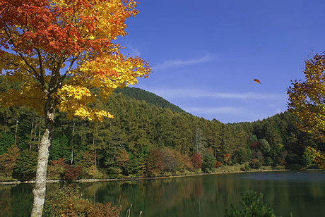 いずみ湖公園