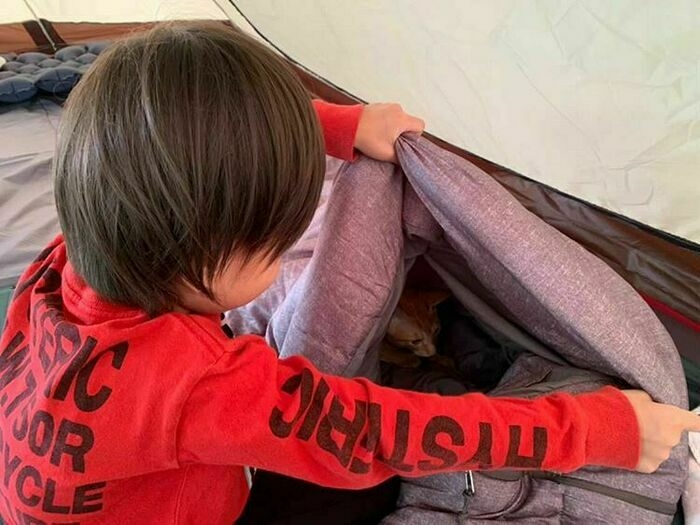 猫のいるシュラフをのぞく子ども