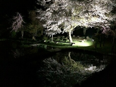 細野渓流キャンプ場