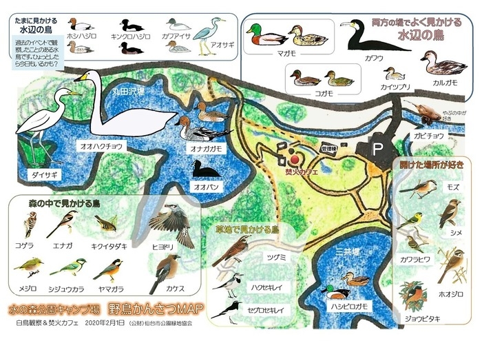 水の森公園キャンプ場