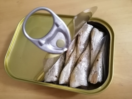 オイルサーディン缶