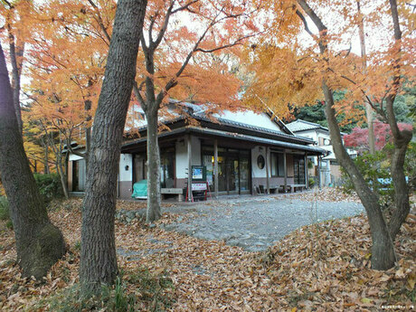 自然豊かな月川荘キャンプ場