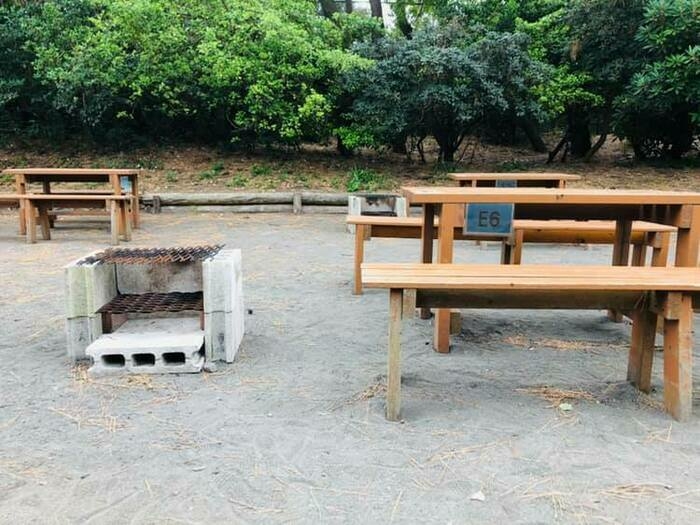 茅ヶ崎市柳島キャンプ場のサイト