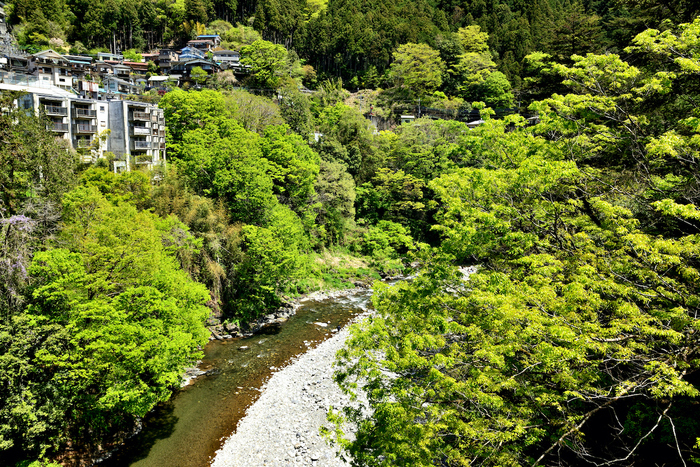 氷川キャンプ場