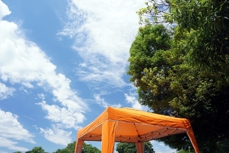 タープ