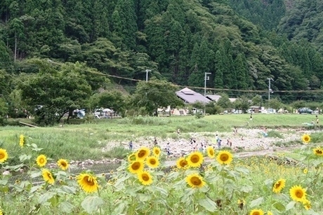 http://www.town.sayo.lg.jp/cms-sypher/www/section/detail.jsp?id=74