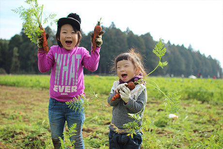 ザファームで野菜収穫体験をしている子ども達の画像