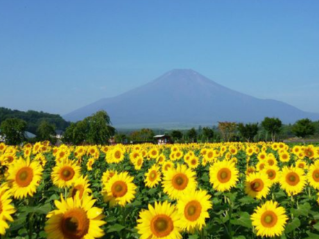 、