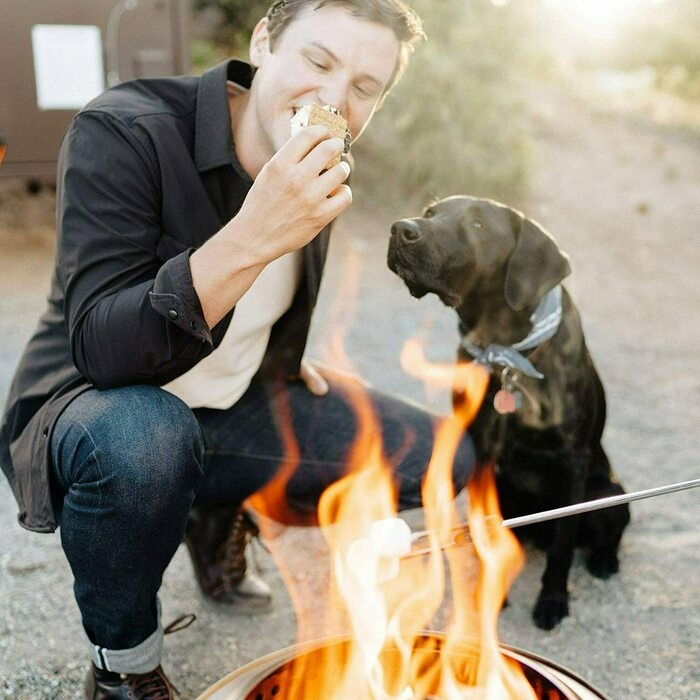 レンジャー 人 犬