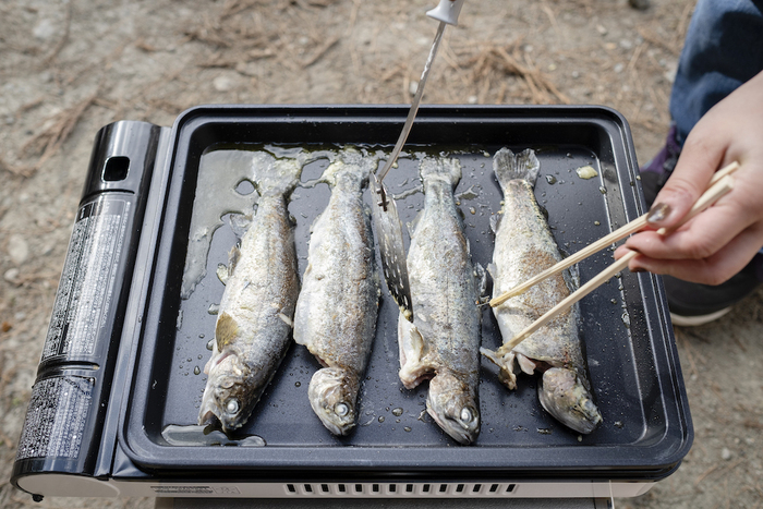 話題の 釣りキャン に挑戦 21年は キャンプ 釣り でアウトドアの楽しさ倍増 初心者がやってみた 3ページ目 キャンプ アウトドア情報メディアhinata