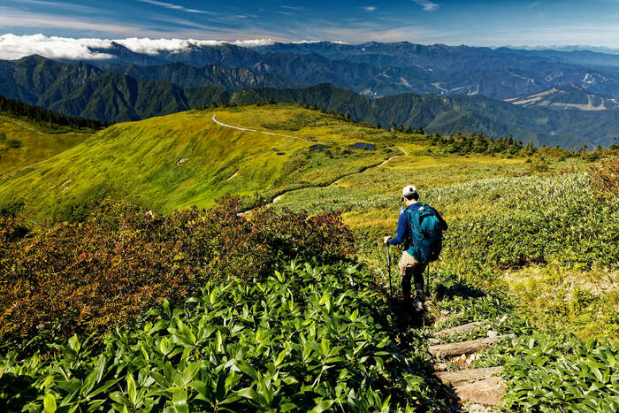 登山