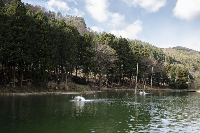 管理釣り場の池