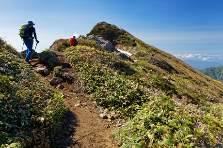 登山をしている人の画像