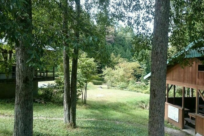 緑の多い公園