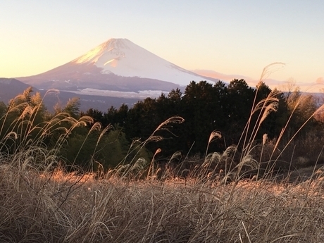 FUJI&SUNアクティビティ写真