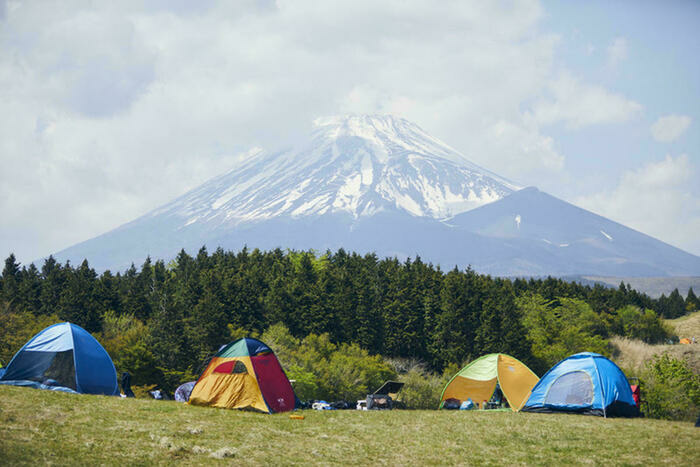 FUJI & SUN