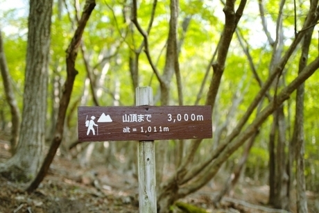 登山口