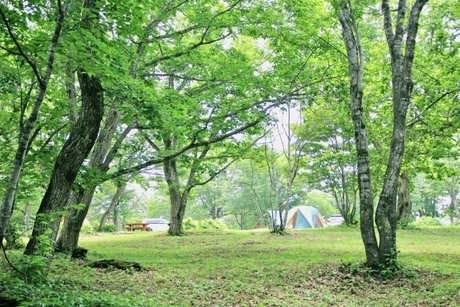 キャンプ場