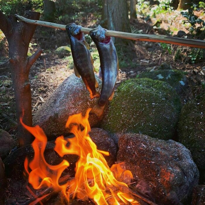 焚き火で焼いた魚