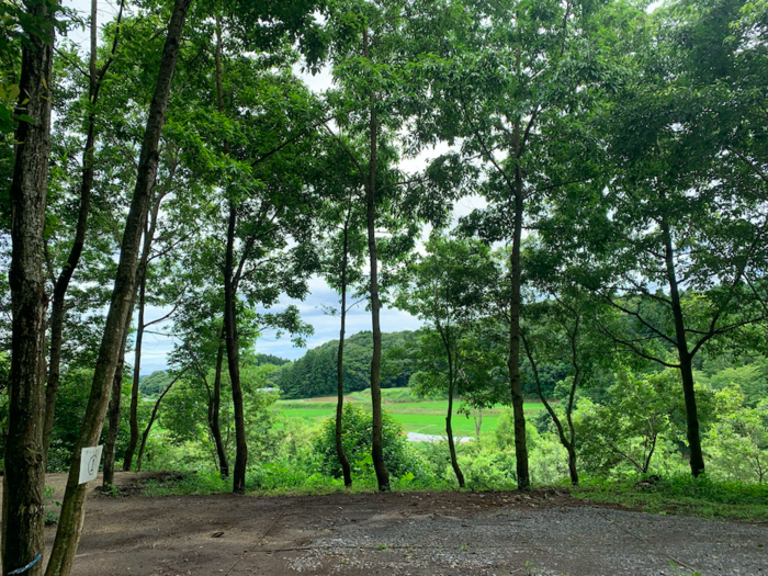 おいらの森