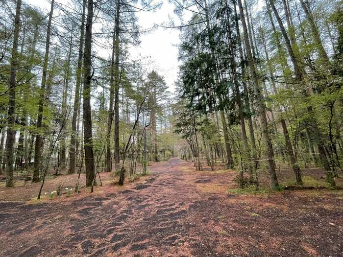 河口湖オートキャンプ場の画像