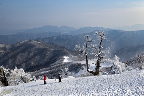 雪