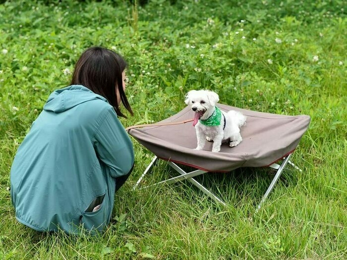 ドッグコットと犬と女性