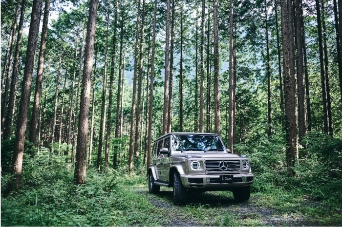 Mercedes me Forest