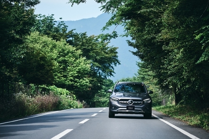 Mercedes me Forest