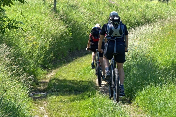マウンテンバイクを漕いでいる男性の後ろ姿