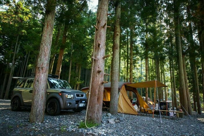 ホンダのエレメント
