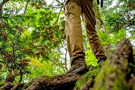 登山
