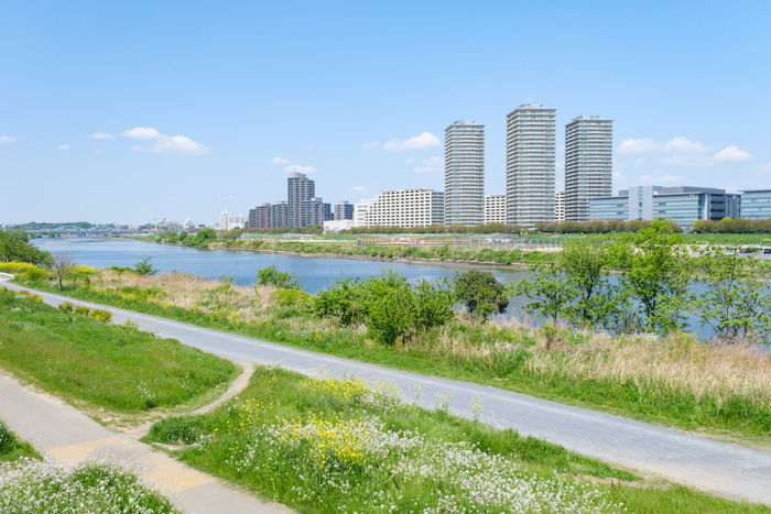河川敷