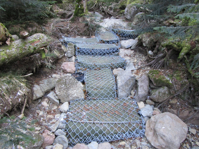 八ヶ岳登山道