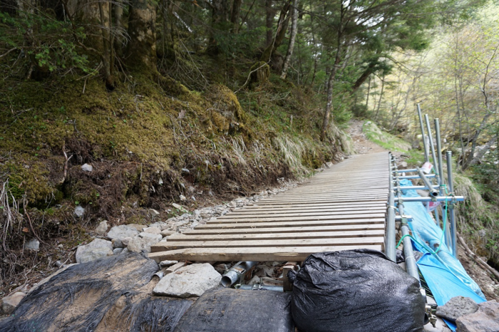 八ヶ岳登山道