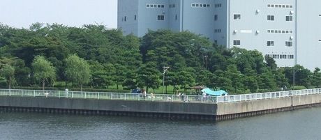 新木場公園のBBQスポット