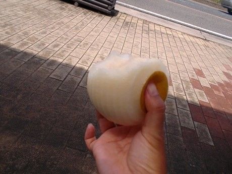鳥取の名産品20世紀梨